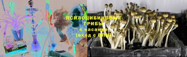 Альфа ПВП Кодинск