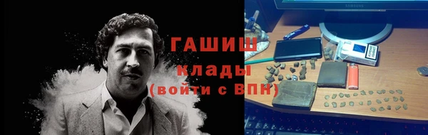 молекула духа Козельск