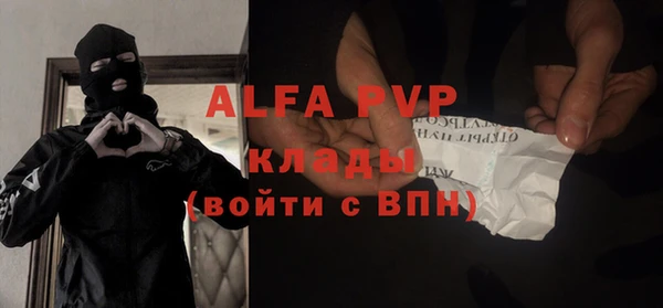 молекула духа Козельск