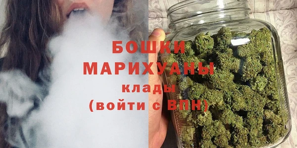 молекула духа Козельск