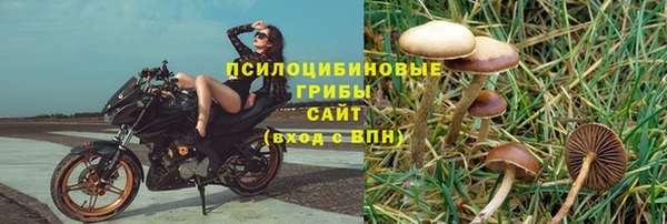 Альфа ПВП Кодинск