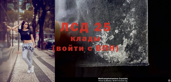 молекула духа Козельск