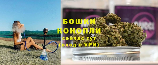 спиды Новозыбков