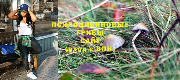 Альфа ПВП Кодинск
