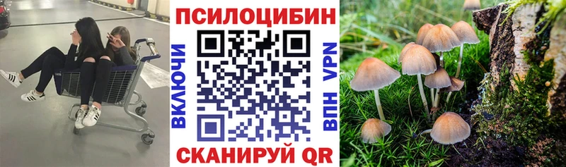 Галлюциногенные грибы Psilocybe  Мончегорск 