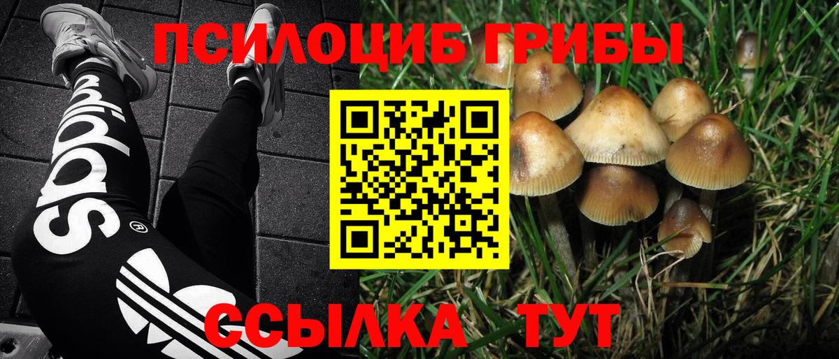 Галлюциногенные грибы Psilocybe  Галлюциногенные грибы Psilocybine cubensis  Вход с VPN  Мончегорск 