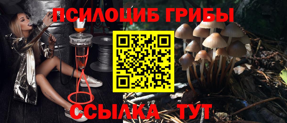 Галлюциногенные грибы Cubensis Мончегорск